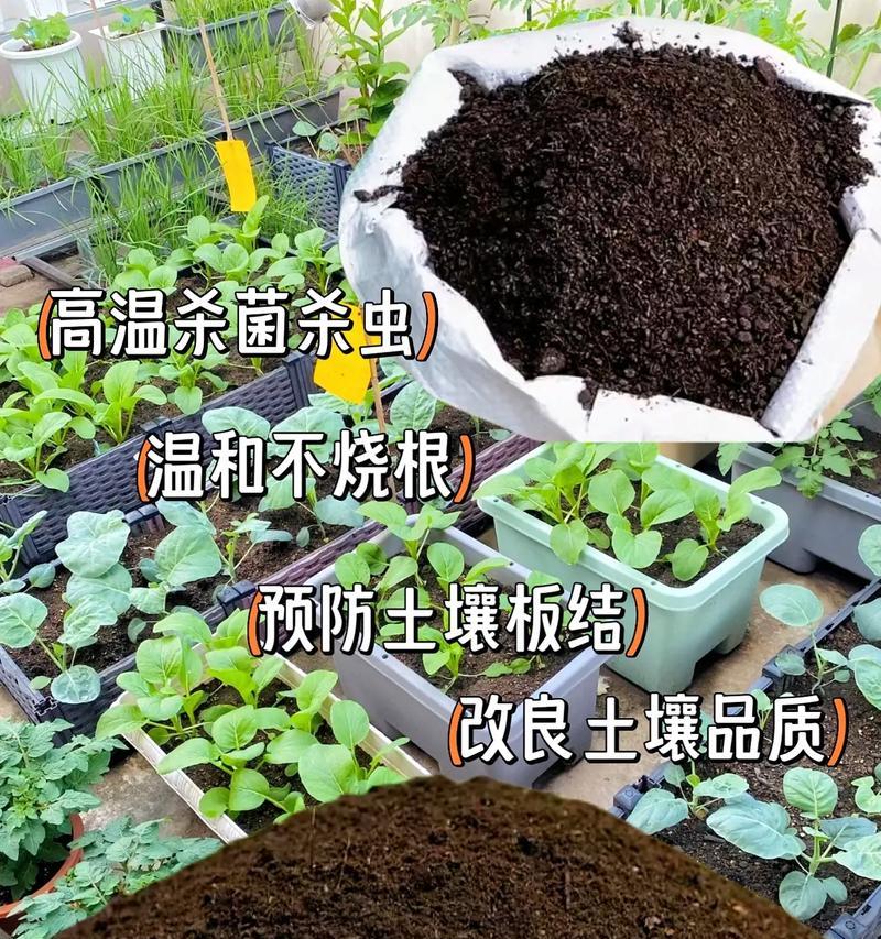 哪些植物可以作为肥料使用？它们的使用效果如何？