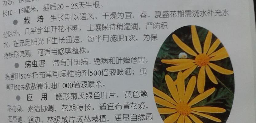 冬季宿根植物的浇水方法是什么？