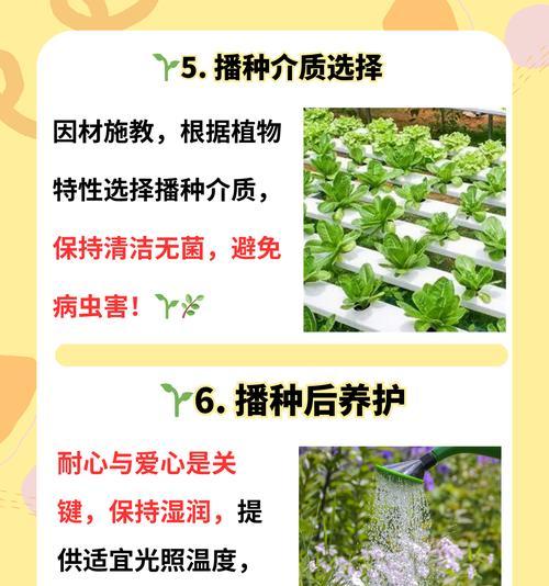 植物生根生长剂有哪些？它们的作用是什么？