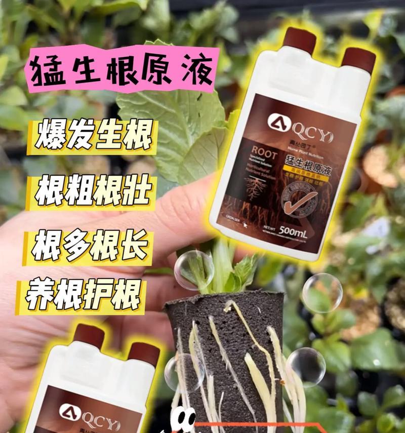 植物生根生长剂有哪些？它们的作用是什么？