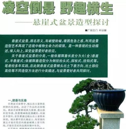 植物造型绳的正确绑法是什么？绑造型绳有哪些技巧？