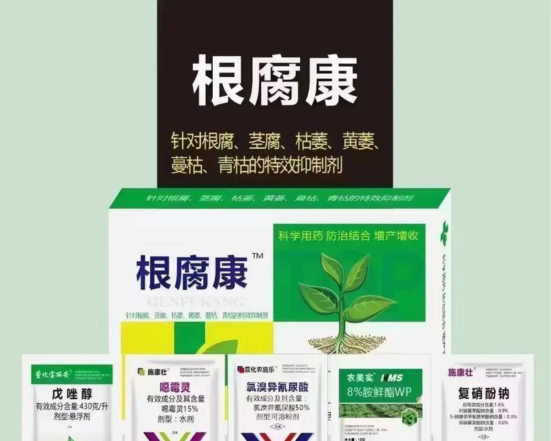 常见的腐生植物有哪些？它们的生长环境和特点是什么？