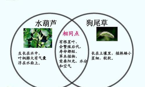 植物能撑多久会死掉？如何延长植物的寿命？