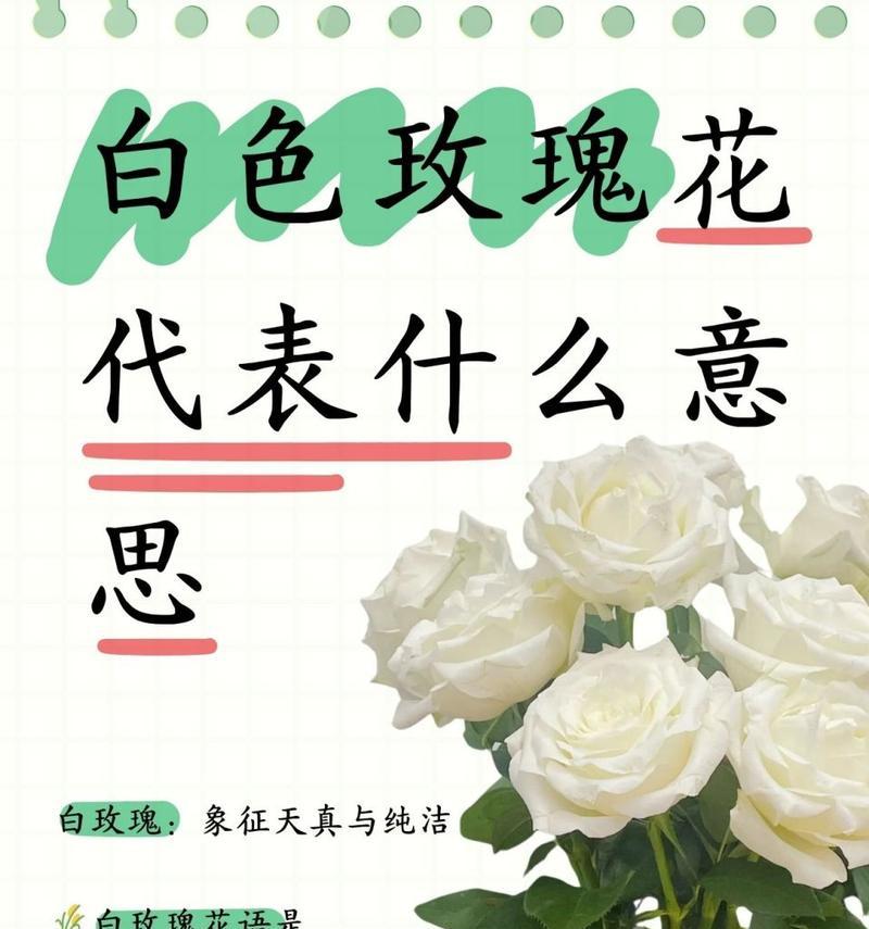 999朵玫瑰花代表什么？送朋友999朵玫瑰花有何寓意？