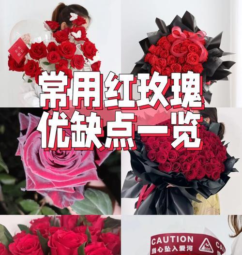 哪种花卉象征悲惨结局？六一送什么玫瑰花好？