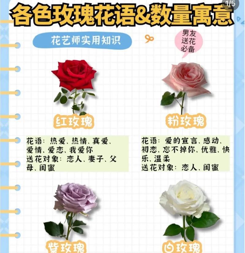 玫瑰花和百合花共同代表什么？它们在花语中的含义是什么？