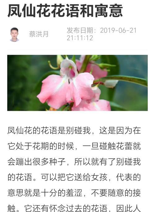 凤仙花的花语有哪些？