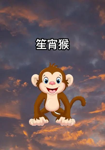 猴子叼个玫瑰花什么意思？这种行为有何特殊含义？