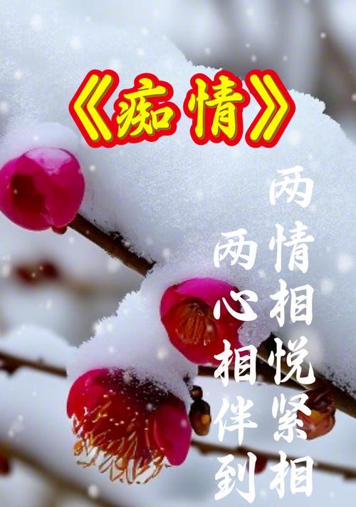 相思梅的花语代表了什么情感？