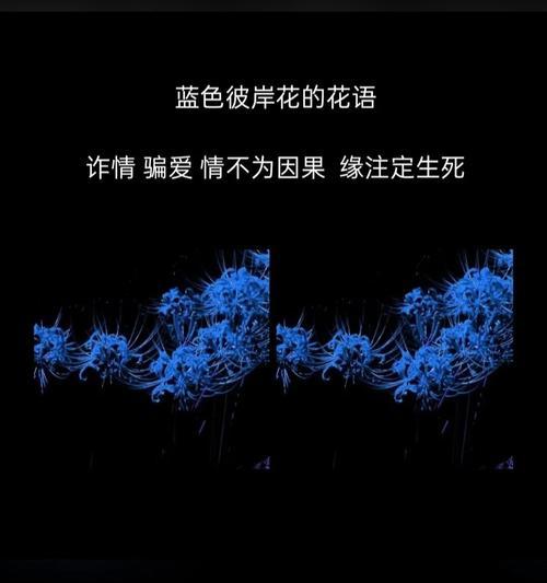 彼岸花的花语及其文化背景是什么？